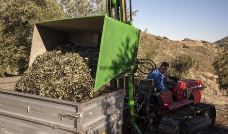 Es Andalucía - Jaén