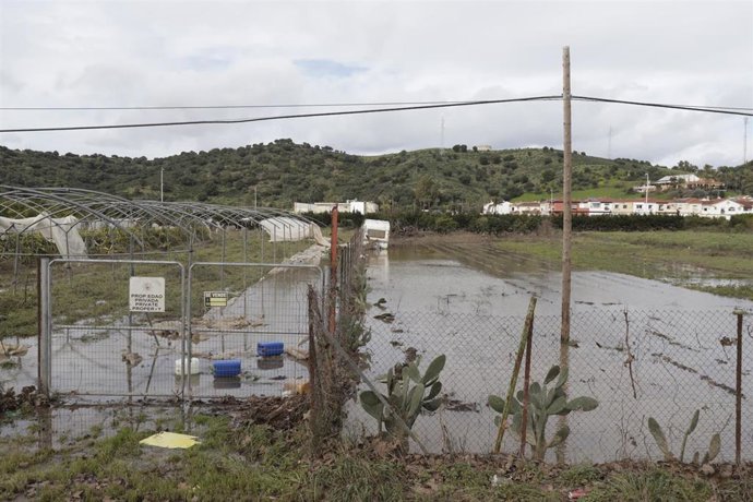 Archivo - Campo afectado por el temporal. Imagen de archivo. 