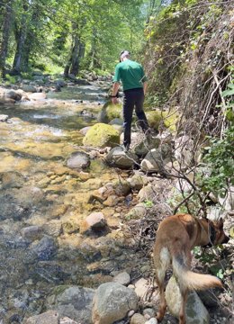 Busqueda del hombre desaparecido en Jarandilla de la Vera