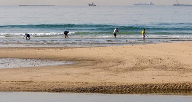 Es Andalucía - Sevilla