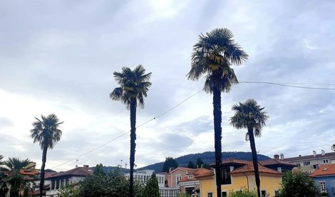 Asturias