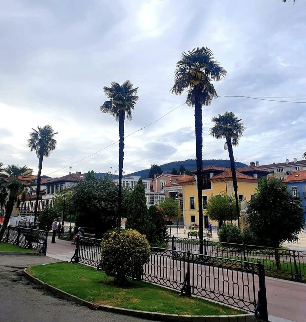 Pravia