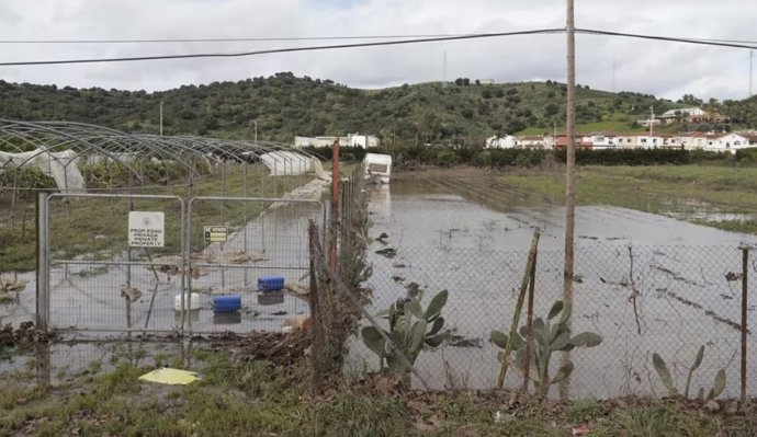 Campo afectado por el temporal