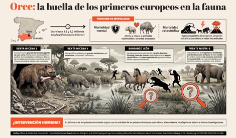 notibrasil sociedade