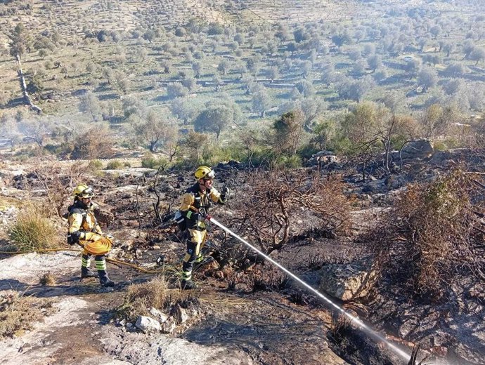 Extinguido el incendio forestal declarado este lunes en Orient tras quemar 2,5 hectáreas
