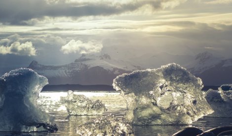 notibrasil sociedade