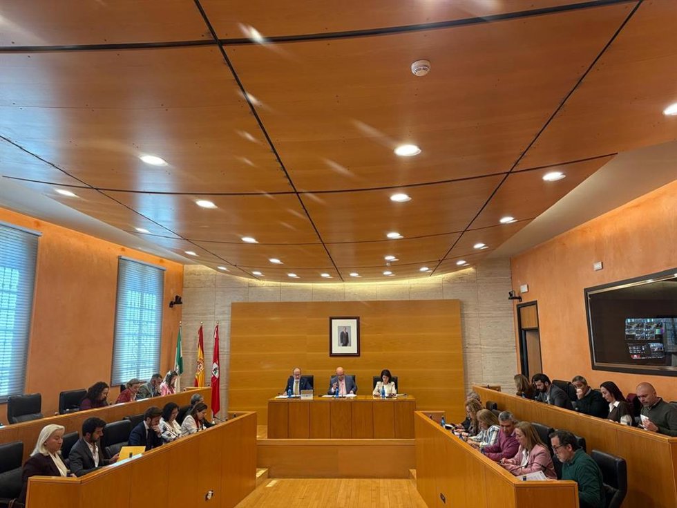 Pleno de Marzo en el Consistorio nazareno.