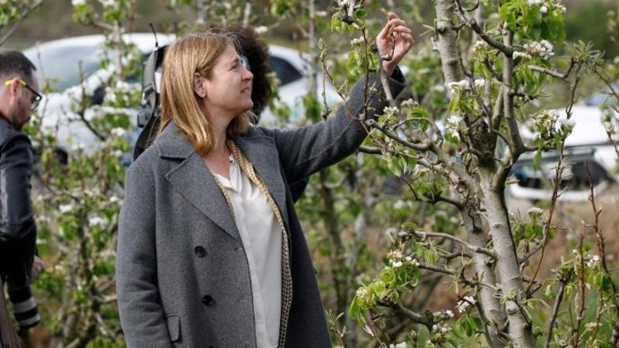 La consejera de Agricultura,  Noemí Manzanos, junto con la directora general de Agricultura y Ganadería, María Jesús Miñana, visita el proyecto regional de ensayo de eficacia de productos autorizados contra el fuego bacteriano