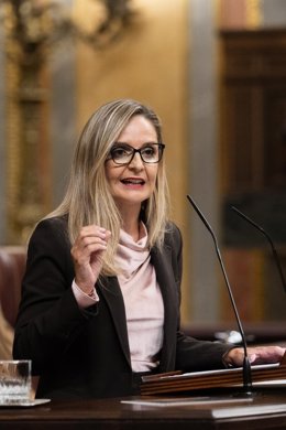 La diputada nacional del PP de Almería Maribel Sánchez Torregrosa, en una intervención en el Congreso de los Diputados.