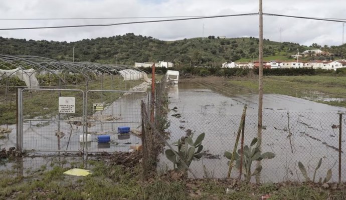 Campo afectado por el temporal