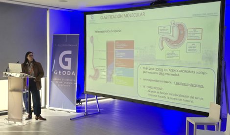 Es Andalucía - Cádiz