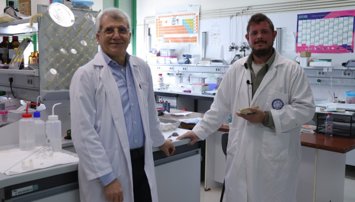 notibrasil sociedade