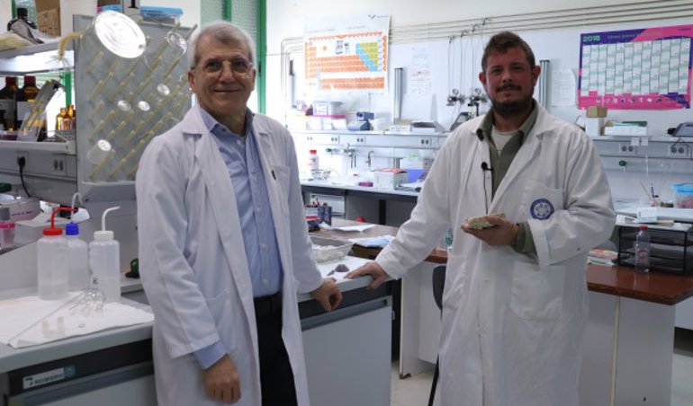 notibrasil sociedade