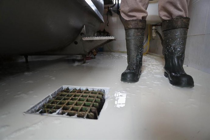 Un ganadero vierte la leche acumulada en el tanque de frío tras el séptimo día sin poder vender su leche