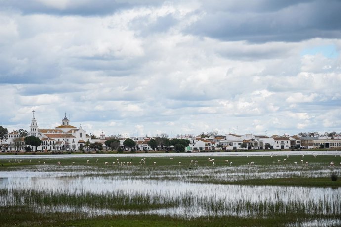 Paraje natural de las marismas de Doñana. Imagen de archivo. 