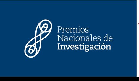 notibrasil sociedade