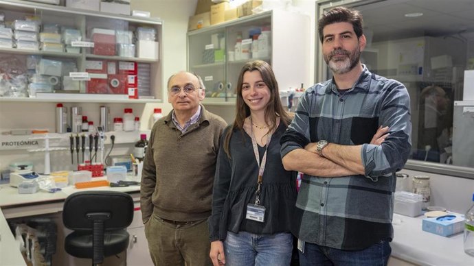 Un estudio de INCLIVA-UV desvela un nuevo mecanismo por el que las histonas extracelulares favorecen la muerte celular durante procesos de sepsis