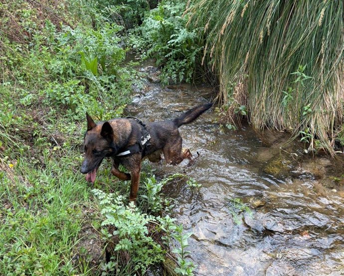 Vídeo de la noticia