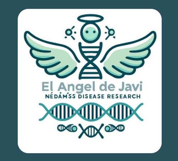 Archivo - Logo de la asociación de 'El Ángel de Javi' que recauda fondos para la investigación del NEDAMSS, una enfermedad rara de origen genético vinculada a mutaciones en el gen IRF2BPL.
