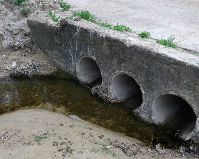Un cauce de agua en Barbate (Cádiz)