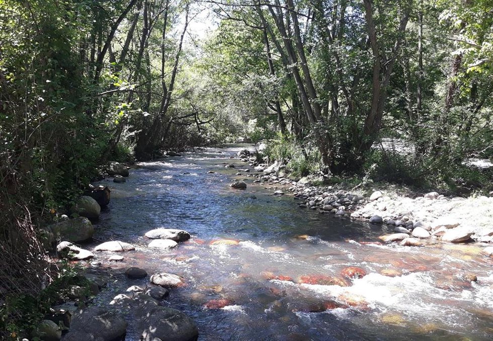 Archivo - Confederación Hidrográfica Del Ebro Actuaciones De Mejora De La Capacidad De Desagüe En La Rioja