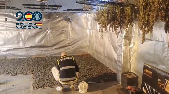 Agentes de la Policía Nacional han detenido a tres personas dedicadas al tráfico de drogas y a la defraudación de fluido eléctrico en Quart de Poblet