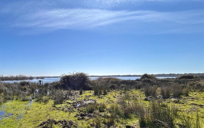 Laguna de Santa Olalla, en Doñana.