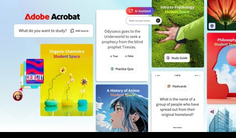 notibrasil sociedade