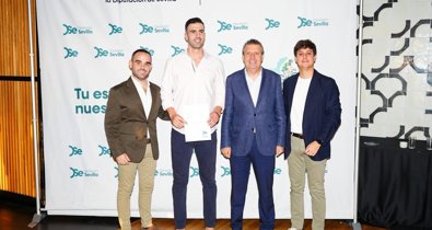 Diputación de Sevilla