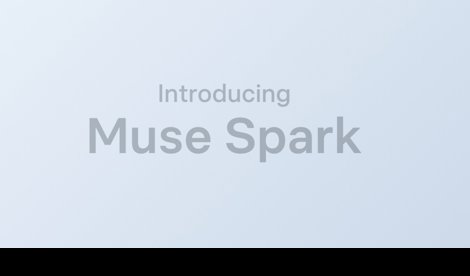 notibrasil sociedade