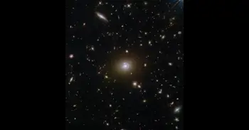 ¿Y si la materia oscura viniera en dos estados?