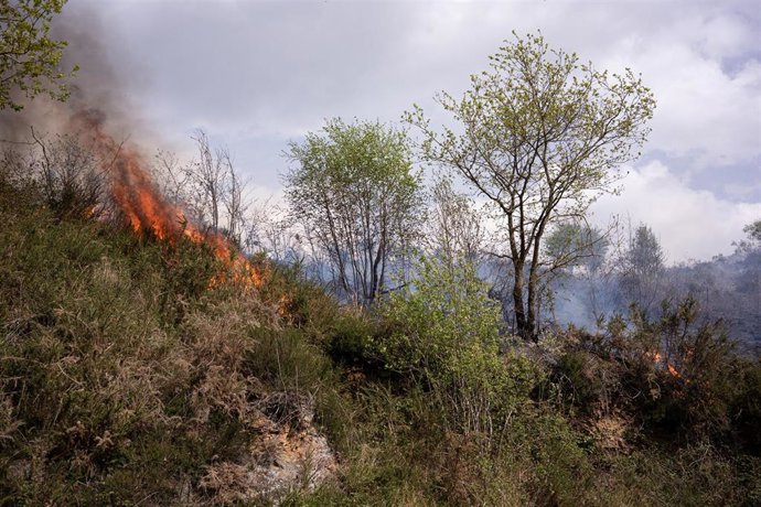 Vista de un incendio, este martes