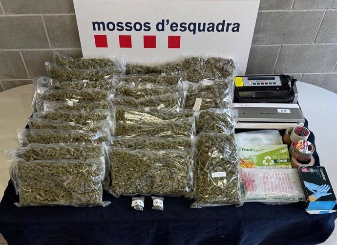 La marihuana intervenida por los Mossos d'Esquadra al detenido en Martorell (Barcelona)