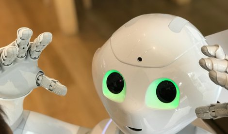 notibrasil sociedade