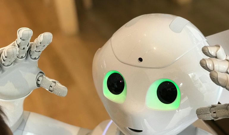 notibrasil sociedade