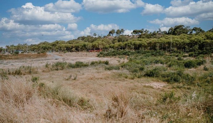 Parcela vendida por Servhabitat