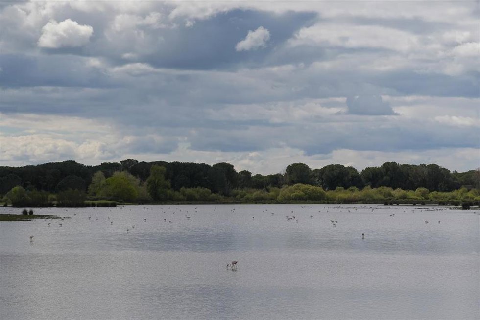 Imagen del paraje natural de las marismas de Doñana presentando una inusual inundación del 90% de su superficie. A 12 de marzo de 2026 en Almonte, Huelva (Andalucía, España). 