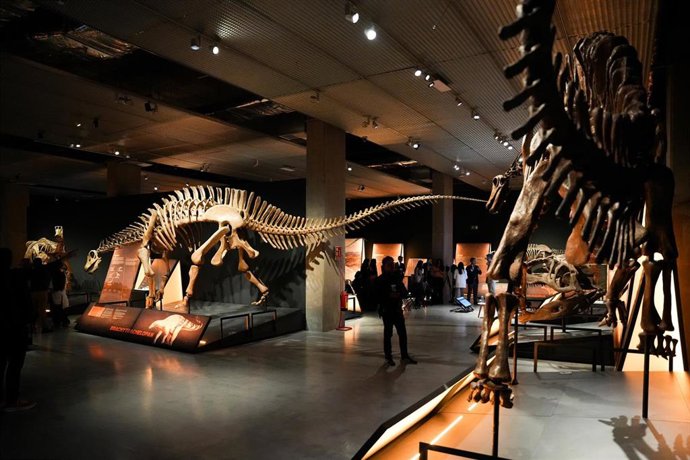 Exposición 'Dinosaurios de la Patagonia' en el Caixaforum de Sevilla.