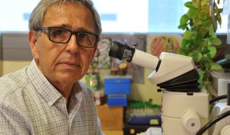 notibrasil sociedade