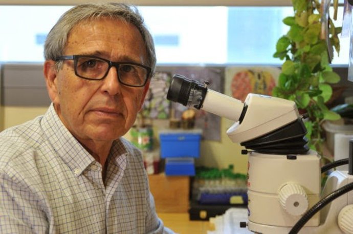 Archivo - Arquivo - Ginés Morata