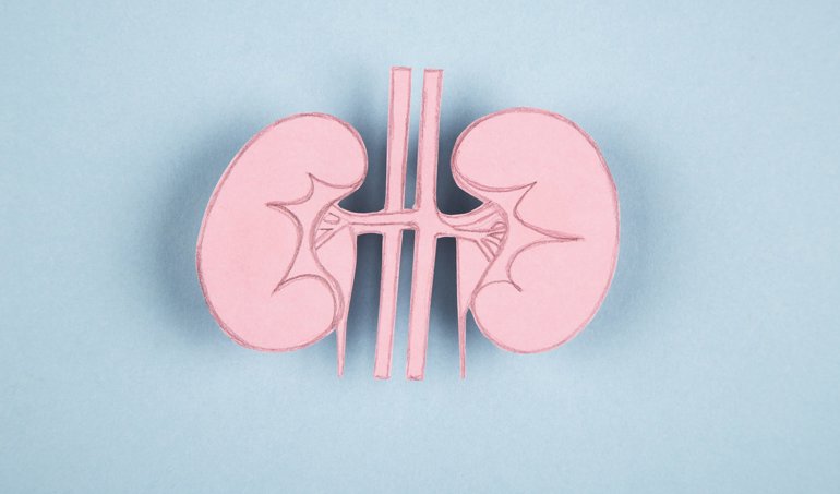 notibrasil sociedade