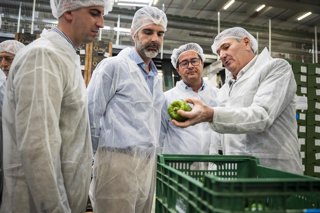 El consejero de Agricultura, Pesca, Agua y Desarrollo Rural de la Junta de Andalucía, Ramón Fernández-Pacheco (2i), visita en El Ejido (Almería), la empresa Mabe Hortofrutícola. 