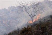 "Está habiendo detenciones", afirma Calvo sobre los últimos incendios forestales en Asturias