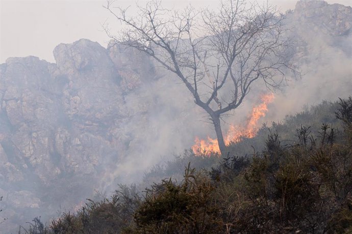 Vista del incendio activo en la Sierra de Aramo, a 7 de marzo de 2026, en Proaza, Asturias (España). 14 concejos de Asturias se ven afectados por una oleada de más de 30 incendios forestales activos, el Principado declaró pasadas las 23 horas de este lune