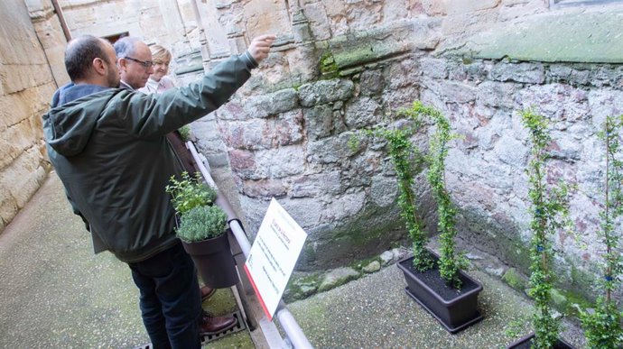 Patio que conecta el Museo de Unamuno con el edificio histórico de la Universidad.