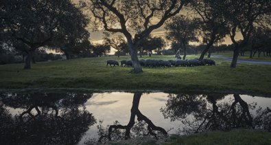 EpAgro