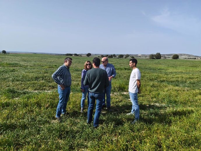 El departamento de Agricultura refuerza la vigilancia frente a la langosta en Los Monegros tras las afecciones del pasado año.