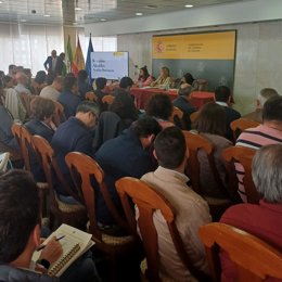 Un momento de la reunión de la subdelegada (al fondo, centro) con los representantes municipales.