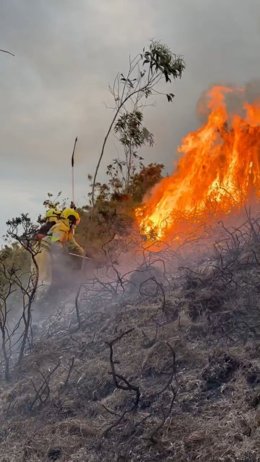 Extinción de incendio forestal