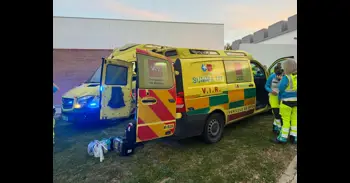 Detenido el autor de la muerte de un menor en Villanueva de la Cañada (Madrid)